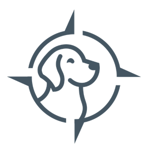 Introducing Golden Professional Services
