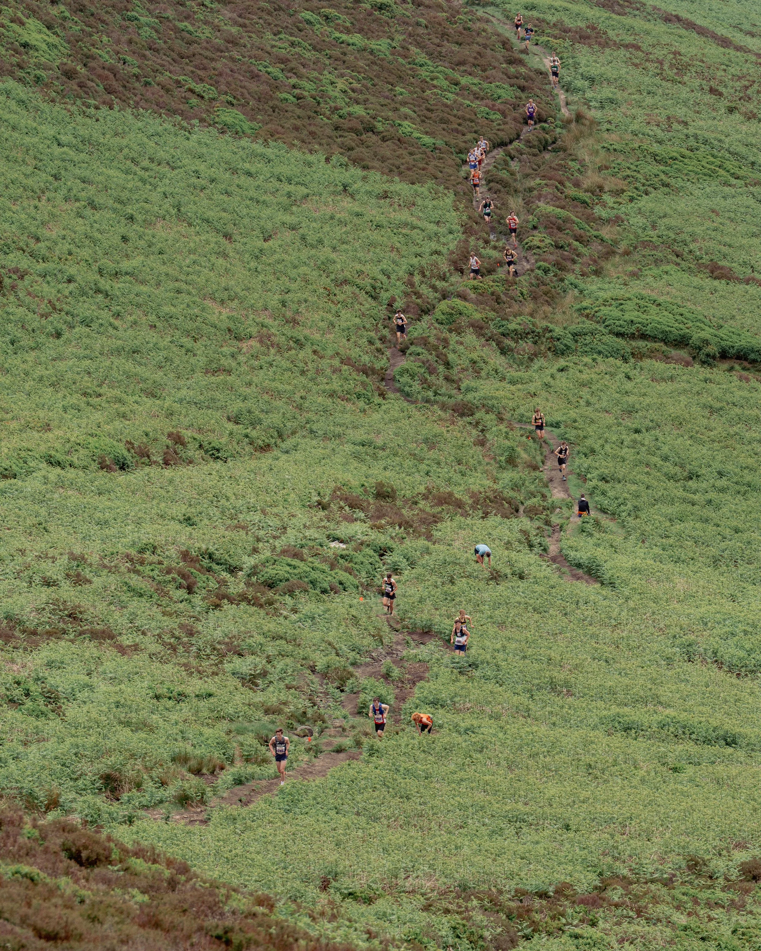 JMC04781.jpg
