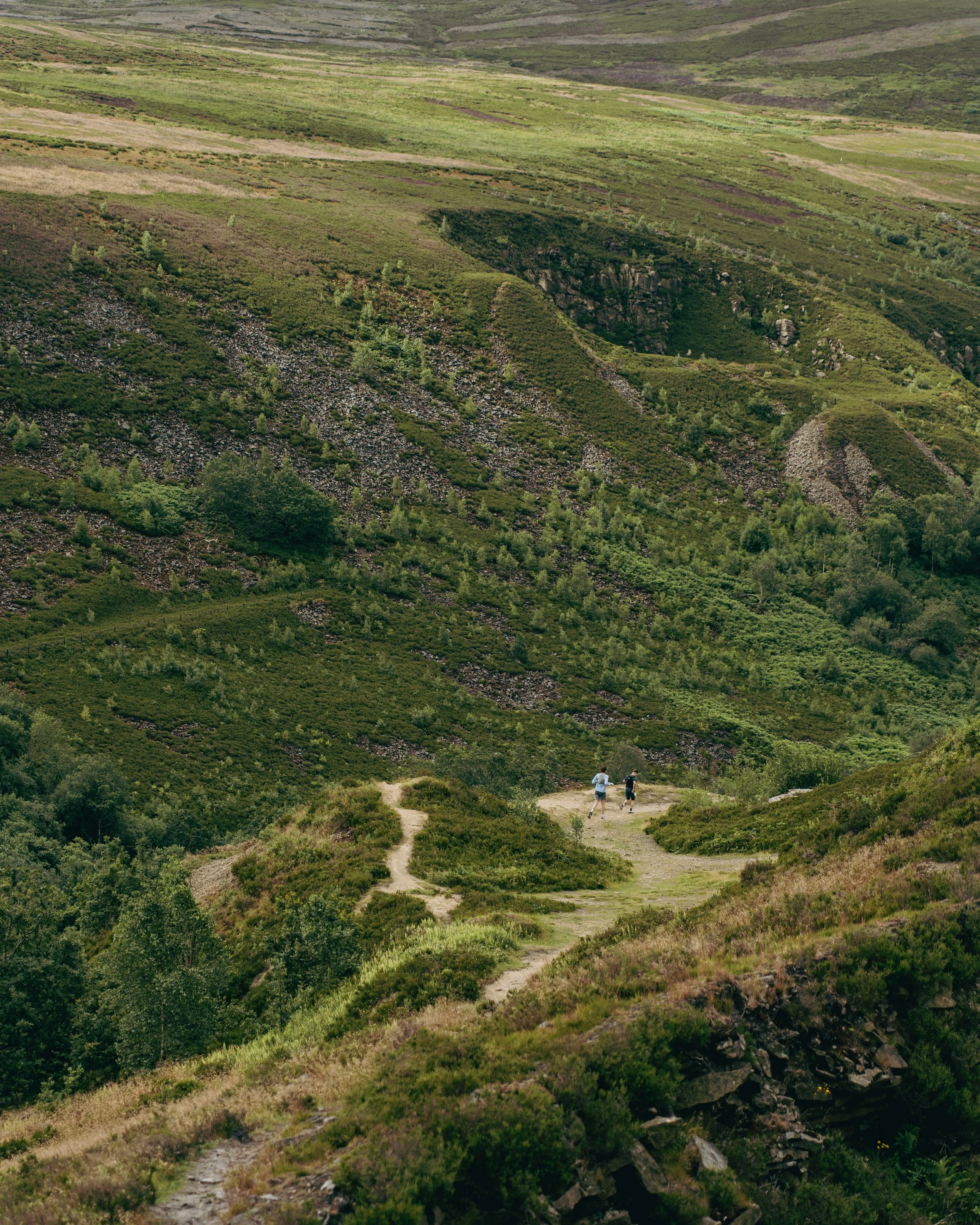 JMC05393-3.jpg