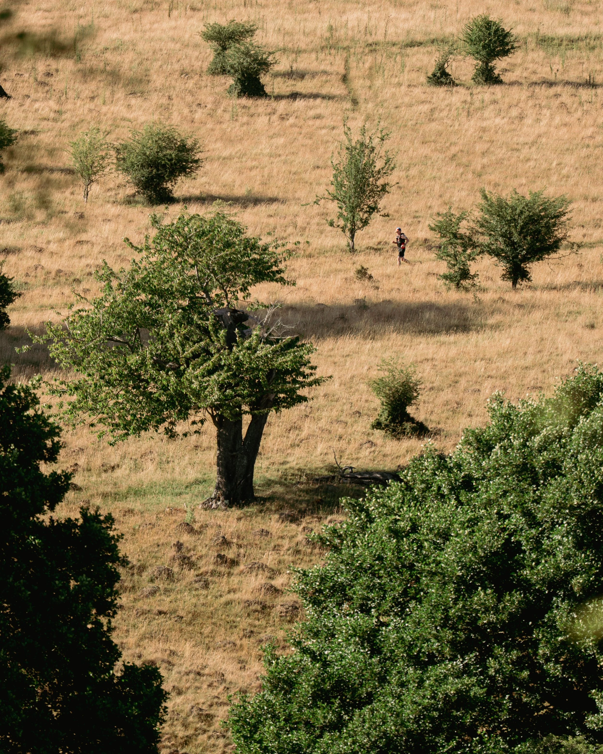 JMC06073-2.jpg