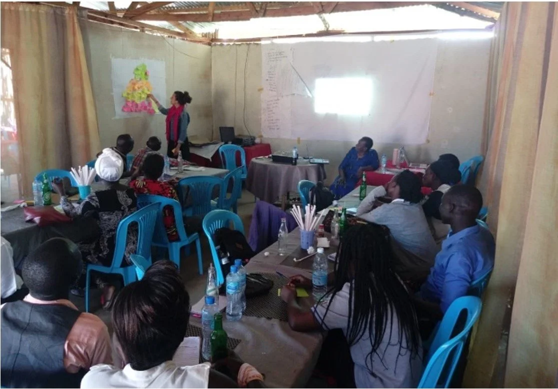 Global Health Innovation Collaborative