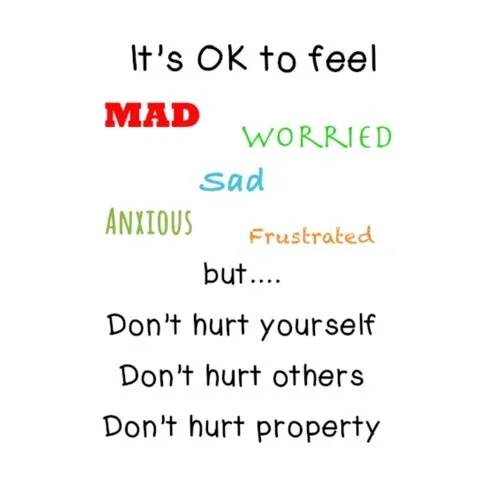 anger+rules.jpg