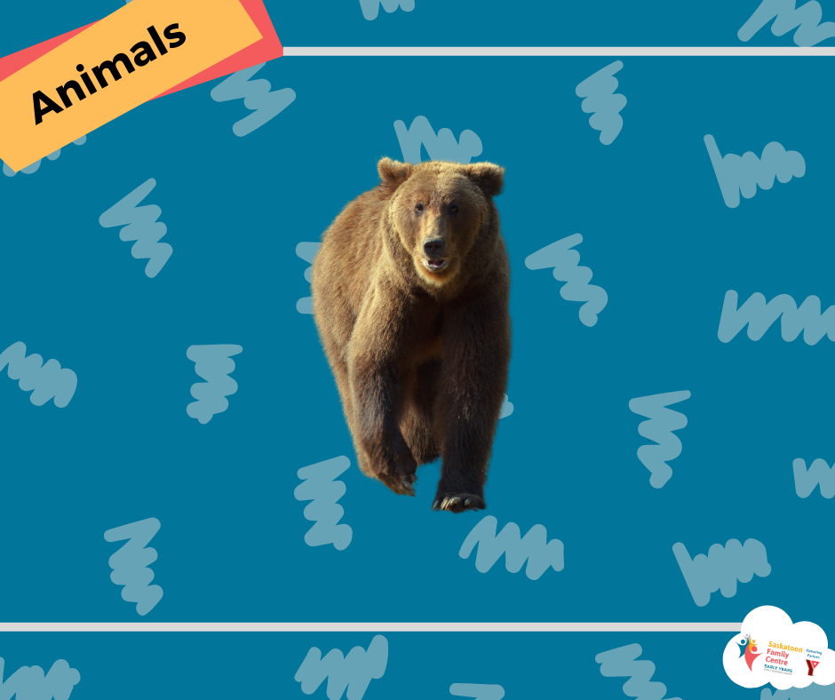 Copy of SM Cree Vocabulary Posts.png