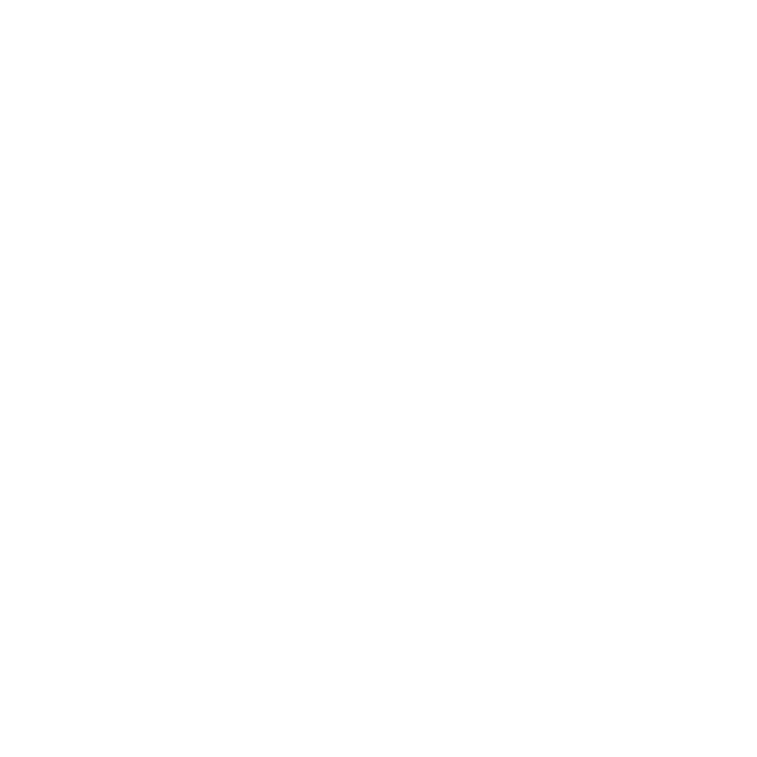 White compass icon