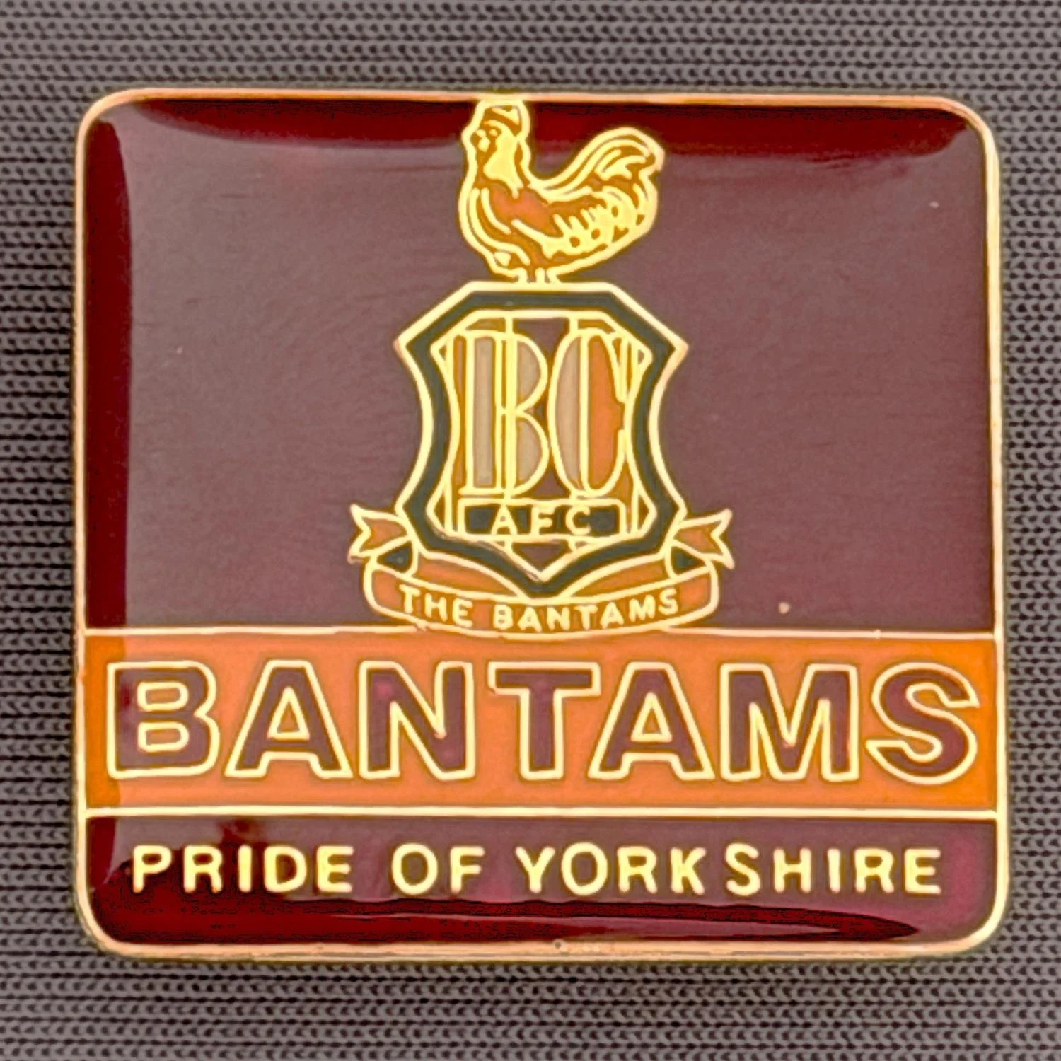 Reference Number: BCC&L038
Size: H 23.9 mm x 25.3 mm
Pin Type: Brooch Pin
Plating: Gold
Value: £8
Manufacturer: Unknown
Comments: Bantams Pride of Yorkshire