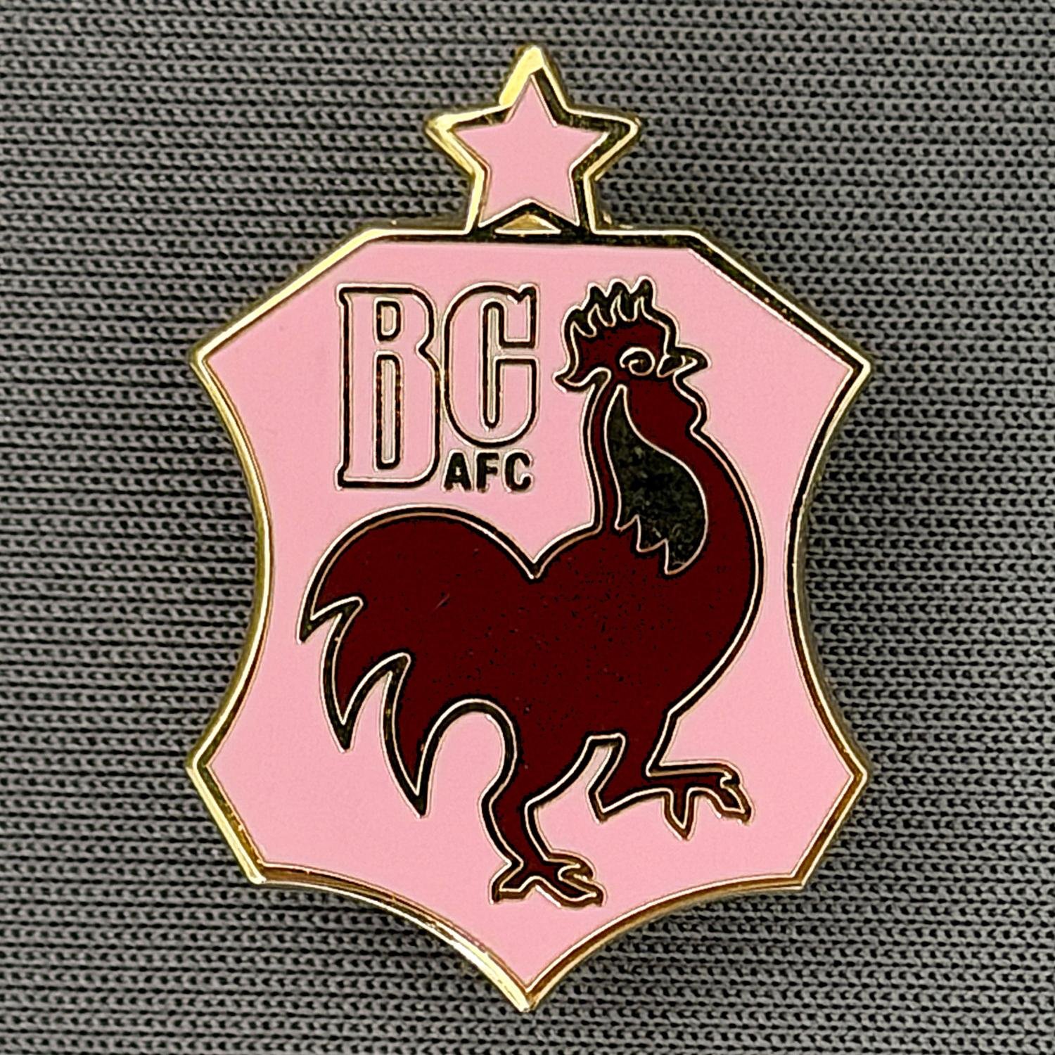 Reference Number: BCBAN038
Size: H 25.9 mm x W 18.4 mm
Pin Type: Brooch Pin
Plating: Gold
Value: £6
Manufacturer: Unknown
Comments: Pink & Claret, Bantam Crest Shield