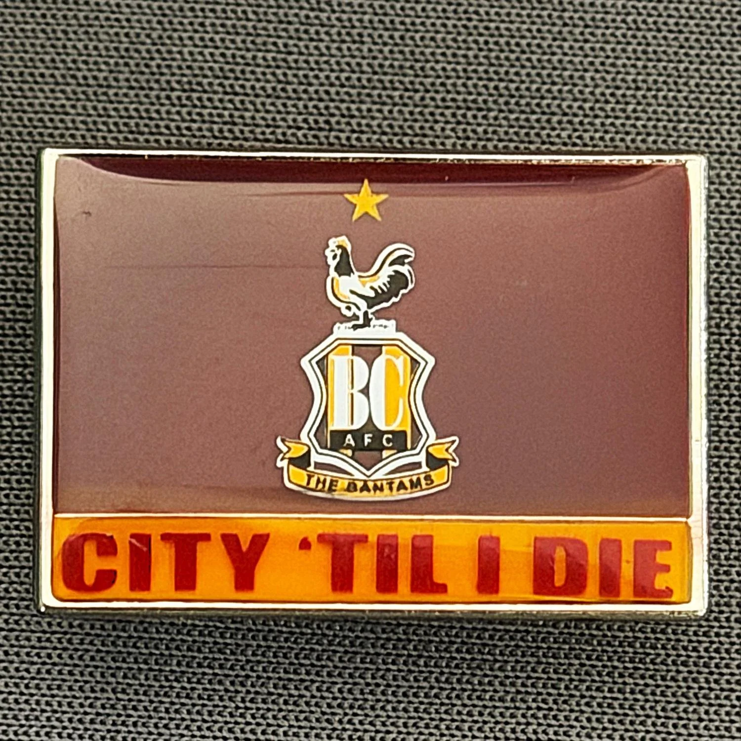 Reference Number: BCC&L164
Size: H 17.5 mm x 25 mm
Pin Type: Metal Clutch
Plating: Chrome
Value: £6
Manufacturer: Bradford City Shop
Comments: City Till I Die, Plastic Dome