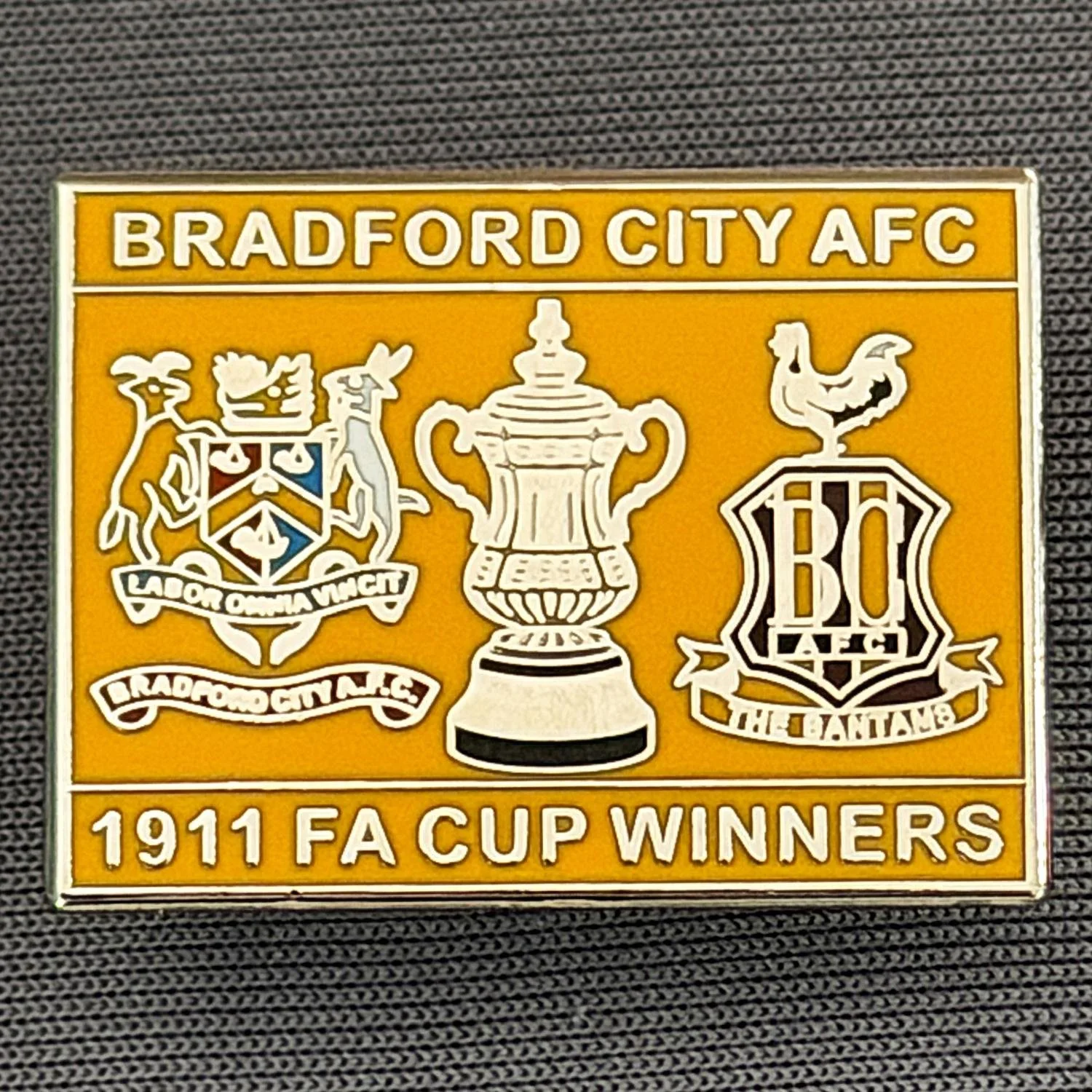 Reference Number: BCFAC037
Size: H 20.4 mm x W 26.8 mm
Pin Type: Metal Clutch
Plating: Silver
Value: £5
Manufacturer: Dan Lloyd
Comments: Bradford City 1911 F.A. Cup Winners, Amber Version