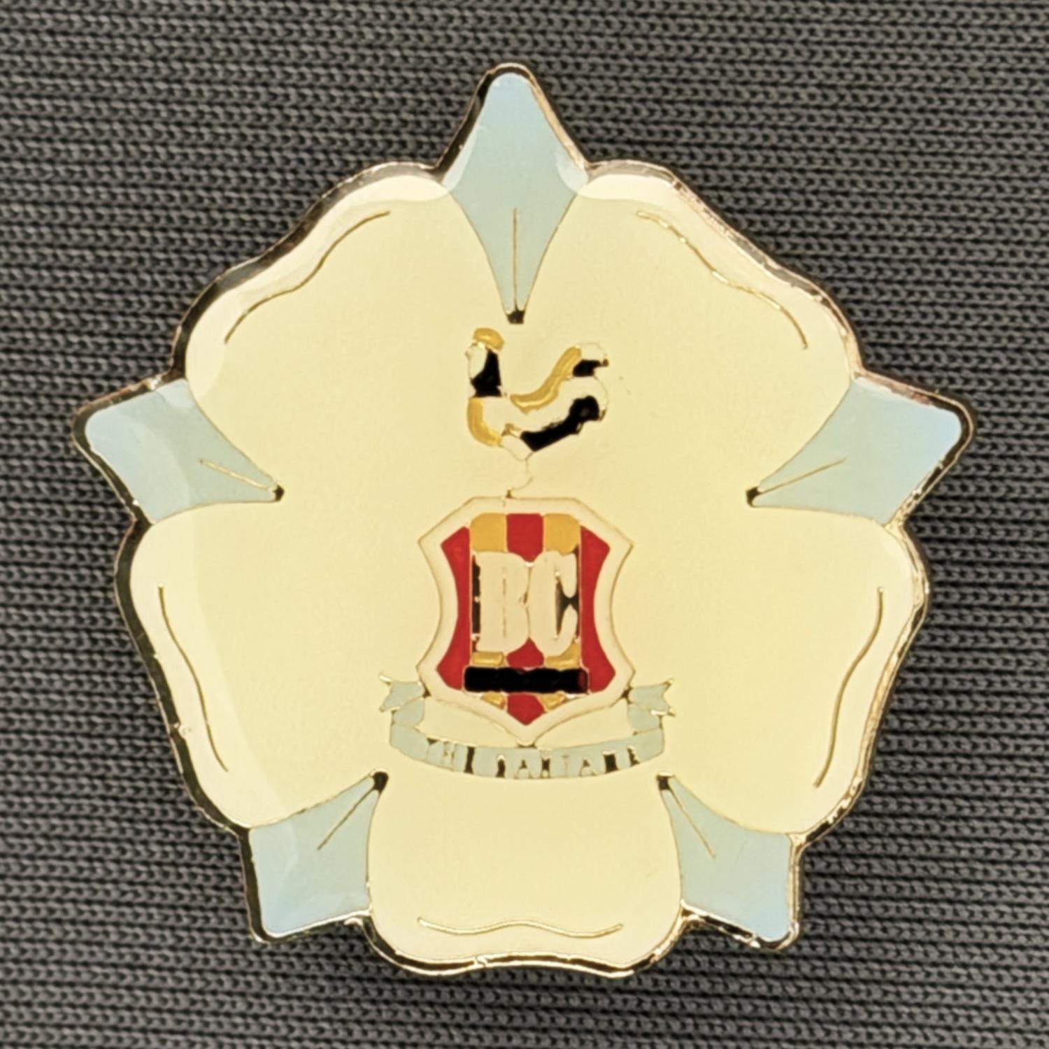 Reference Number: BCYR029
Size: H 25.5 mm x W 25.5 mm
Pin Type: Brooch Pin
Plating: Gold
Value: £6
Manufacturer: Unknown
Comments: Pale Blue & White Yorkshire Rose City Logo. Plastic Domed.