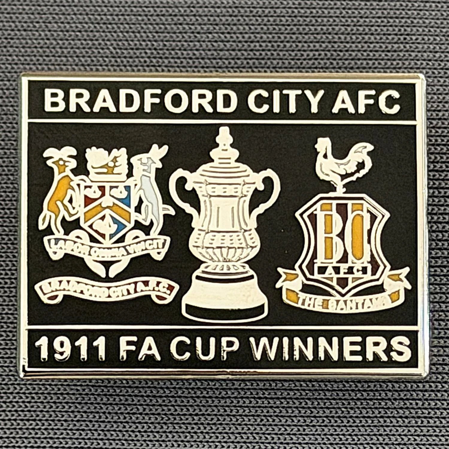 Reference Number: BCFAC038
Size: H 20.4 mm x W 26.8 mm
Pin Type: Metal Clutch
Plating: Silver
Value: £5
Manufacturer: Dan Lloyd
Comments: Bradford City 1911 F.A. Cup Winners, Black Version