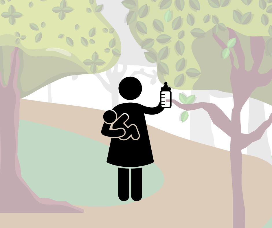 Little Einsteins  ( $50.00 babysitting voucher) | Quantity: 1 