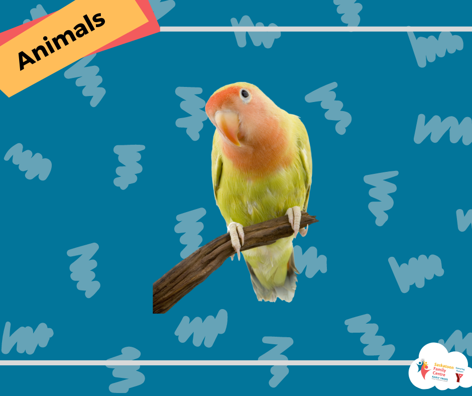 Copy of SM Cree Vocabulary Posts (1).png