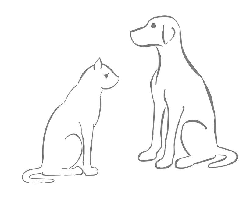 Etchingham Village Vets