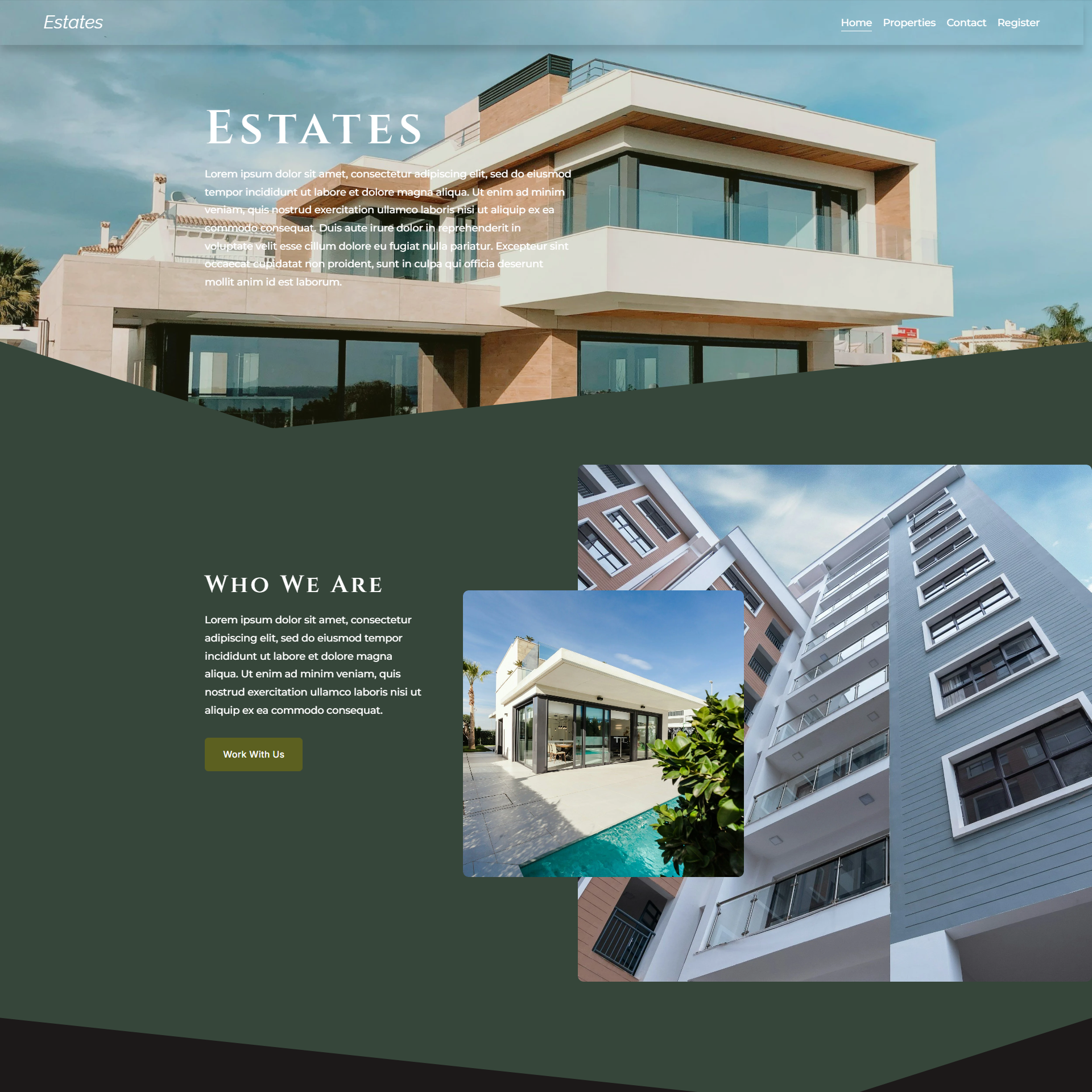 Real Estate Website Concept