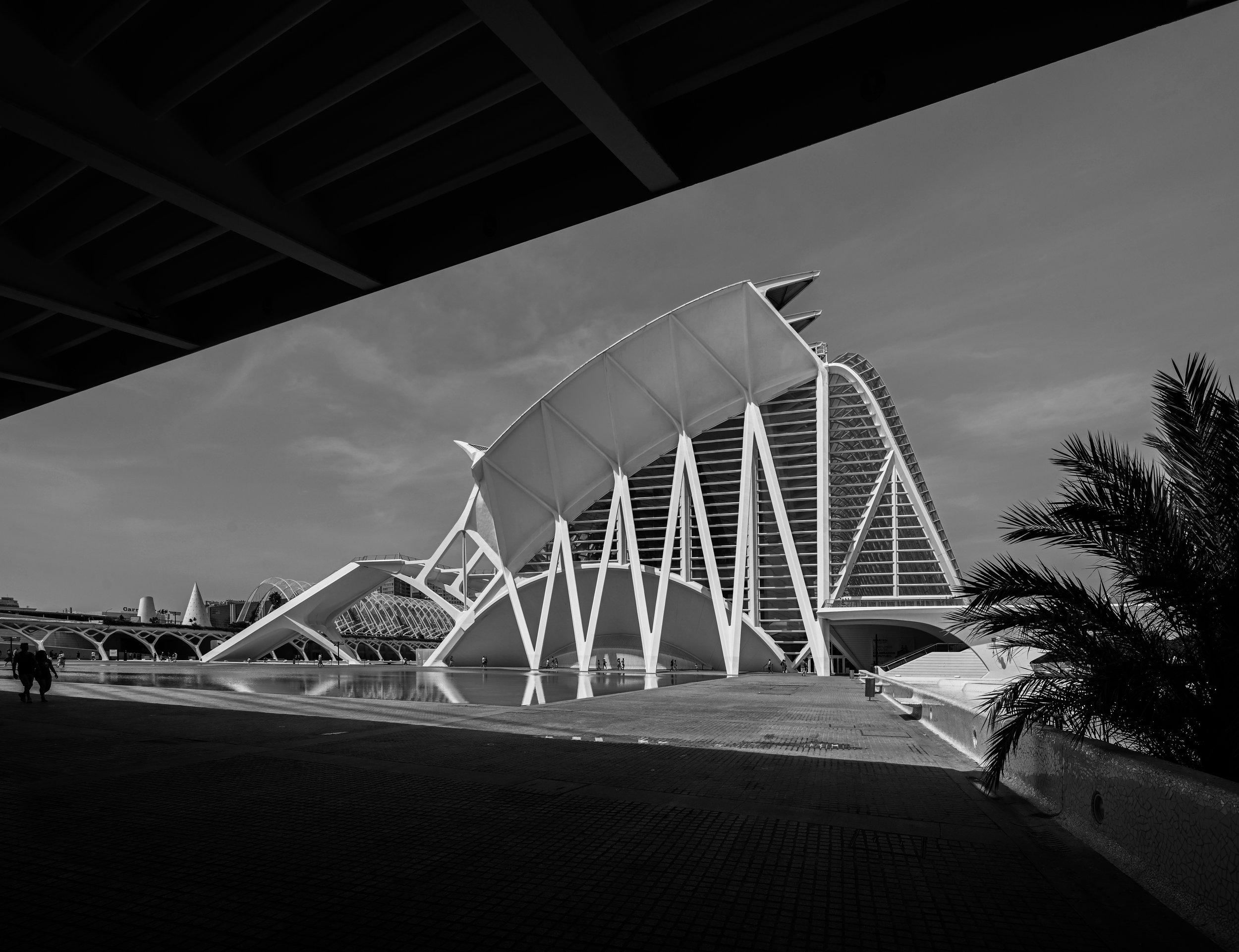 Photo of a modern architectural building with a distinctive design, seen from below, in black and white, with a clear sky and some palm trees on the side.