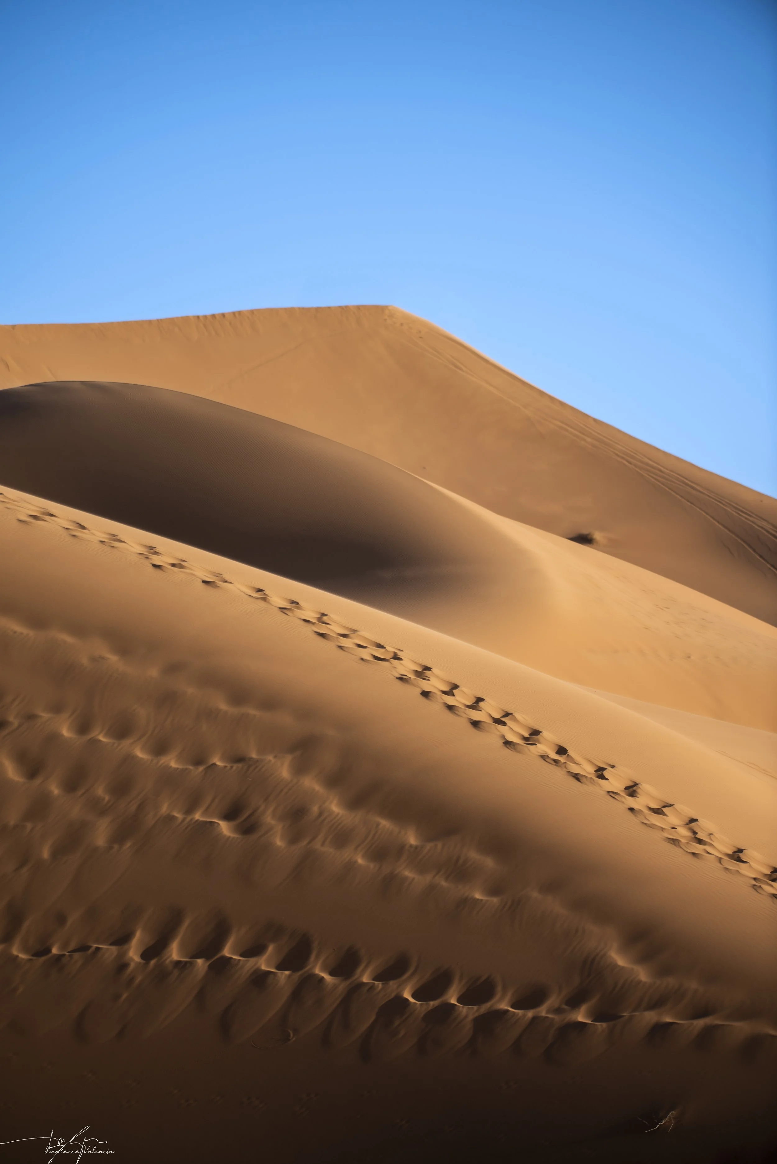 Sand dunes in a desert with footprints on the sand and a clear blue sky.