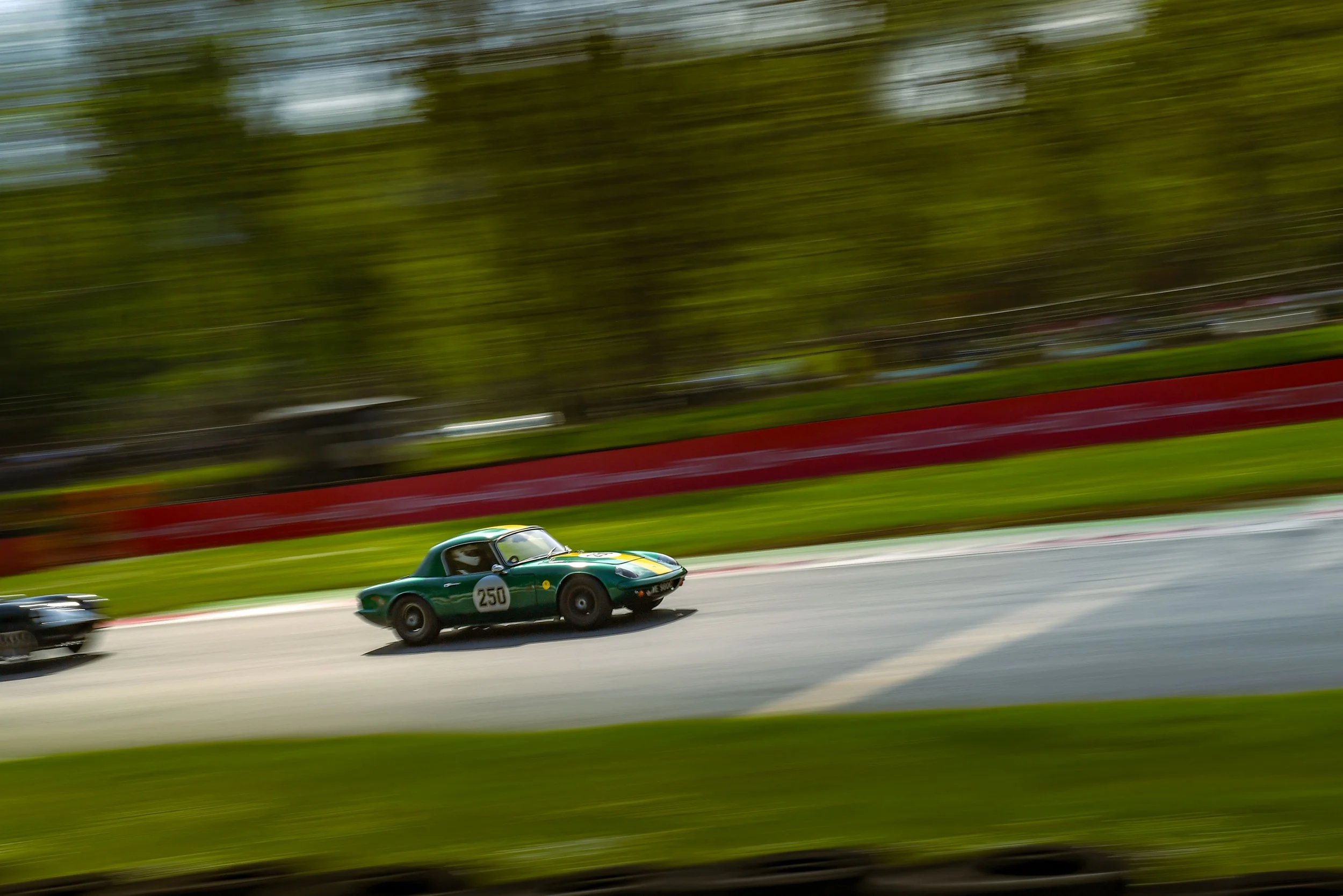 A green vintage race car with number 250 is speeding on a race track, captured in motion with a blurred background.