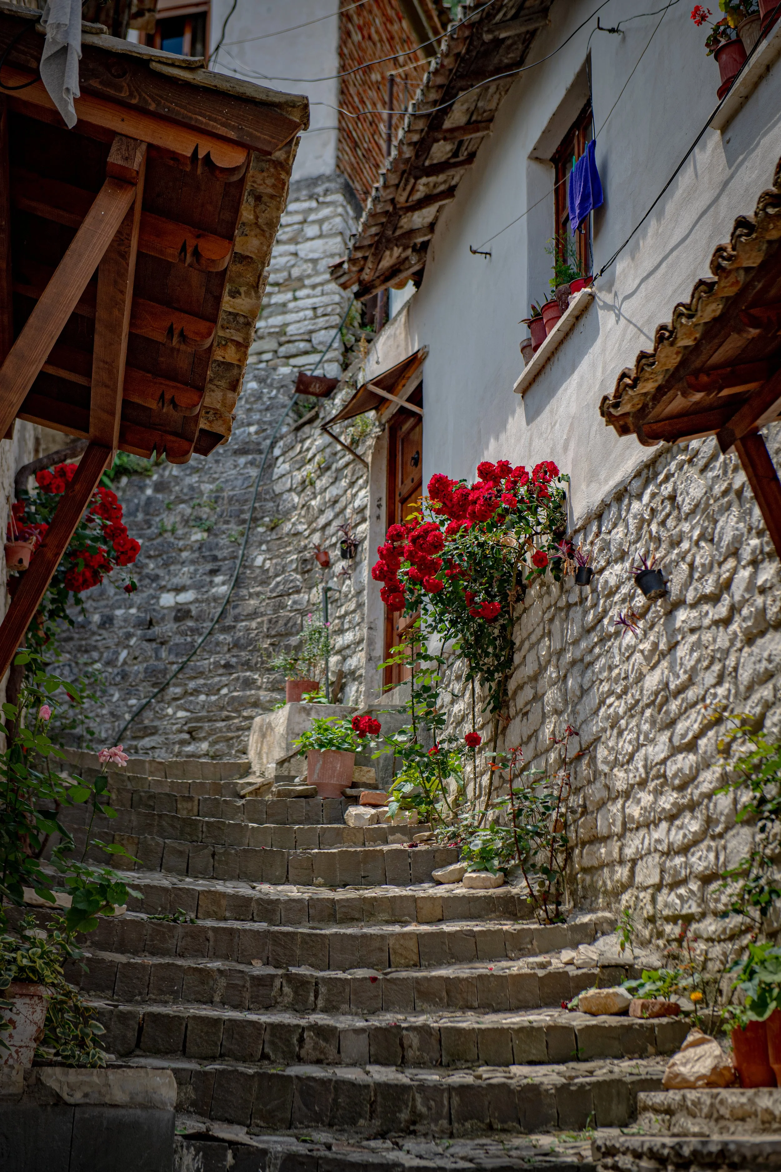 A narrow, curved stone staircase leading up to a Mediterranean-style house with white walls and small windows. The steps are decorated with potted red flowers and climbing plants along the wall, with wooden awnings above the windows and a clothesline