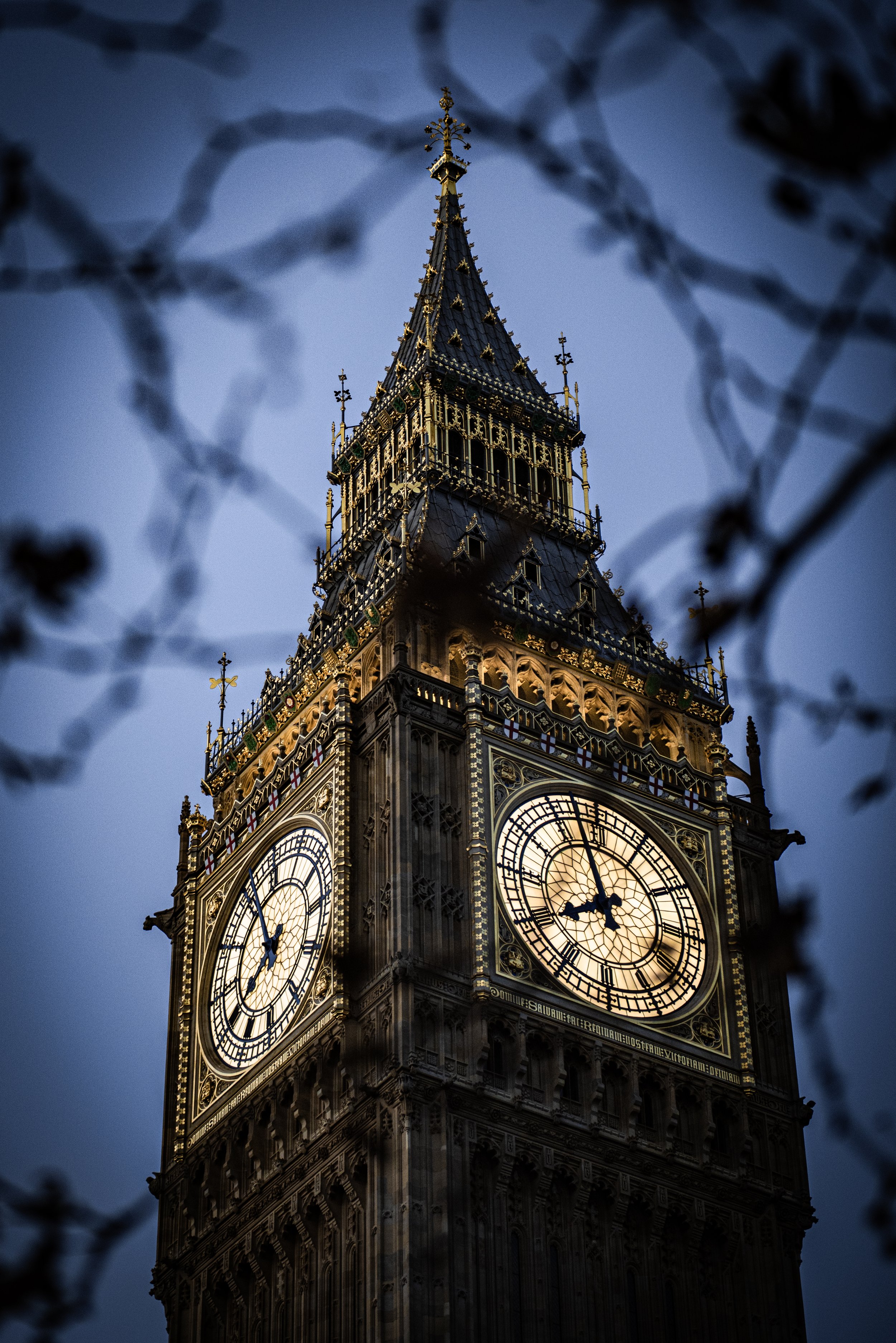 A photograph of Big Ben clock tower in London, viewed through blurred branches at dusk, with the clock face lit up.