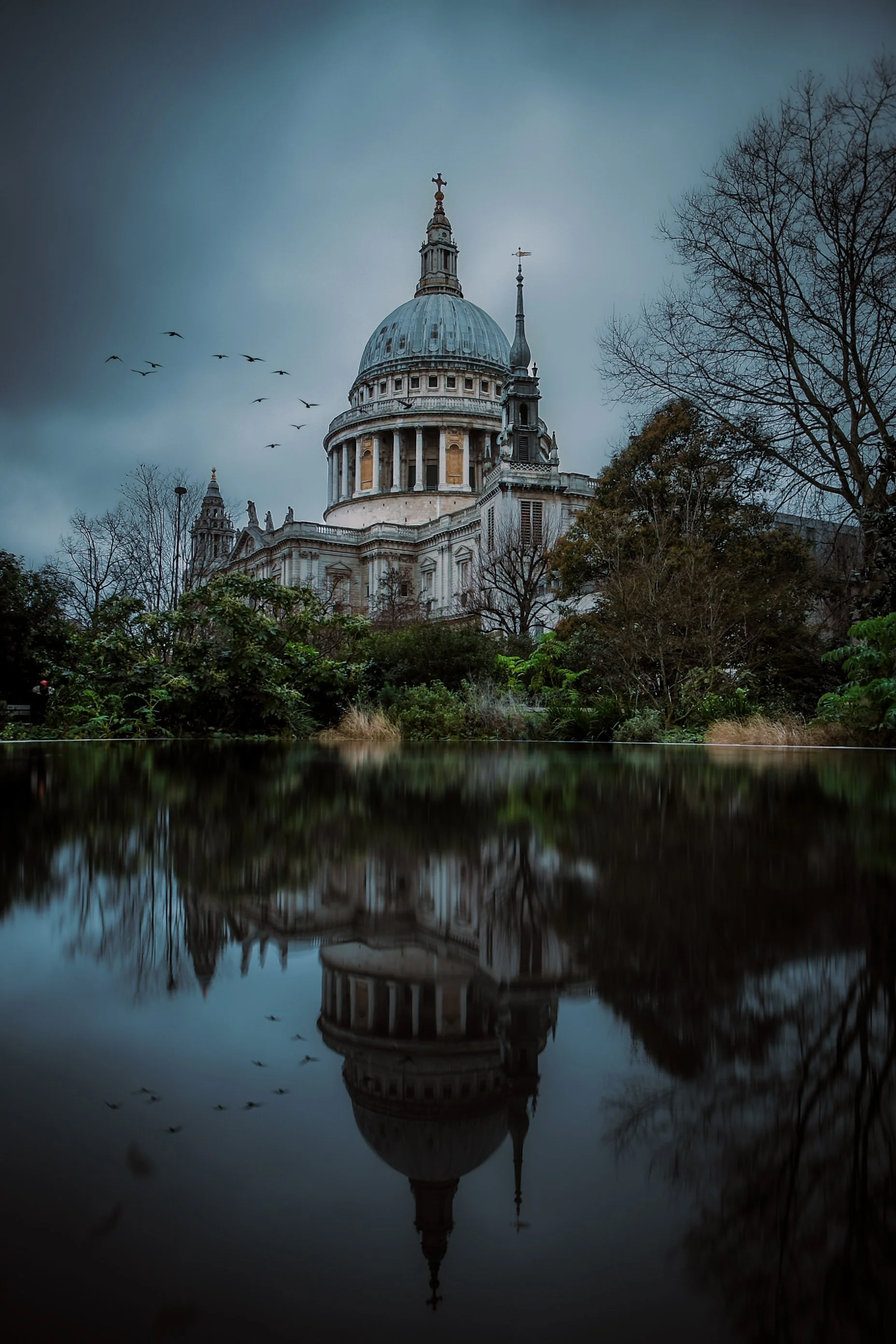 View of St. Paul's Cathedral in London with a reflection in water and trees in foreground.