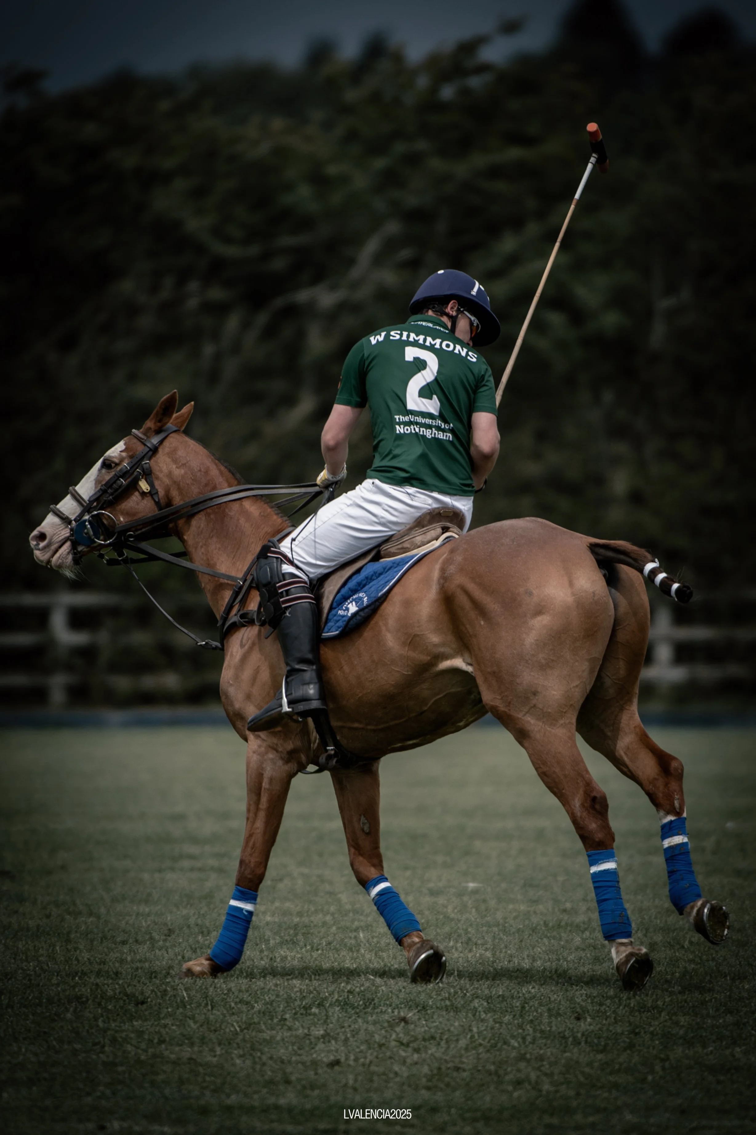 A polo player riding a horse on a field, holding a mallet, with a dark background.