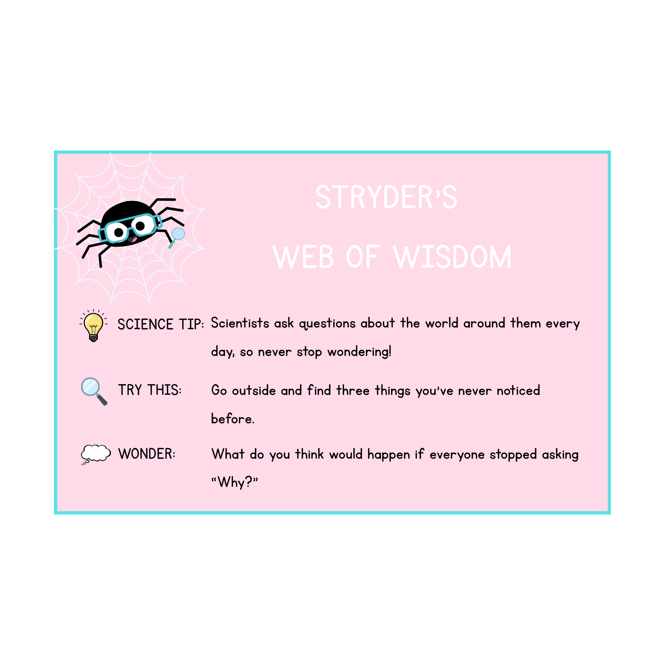 Stryder the Spider's Science Tip on Curiosity