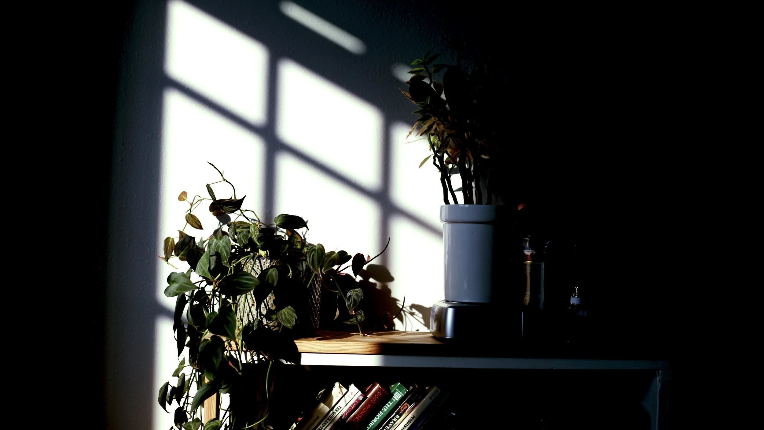 Photo1.png