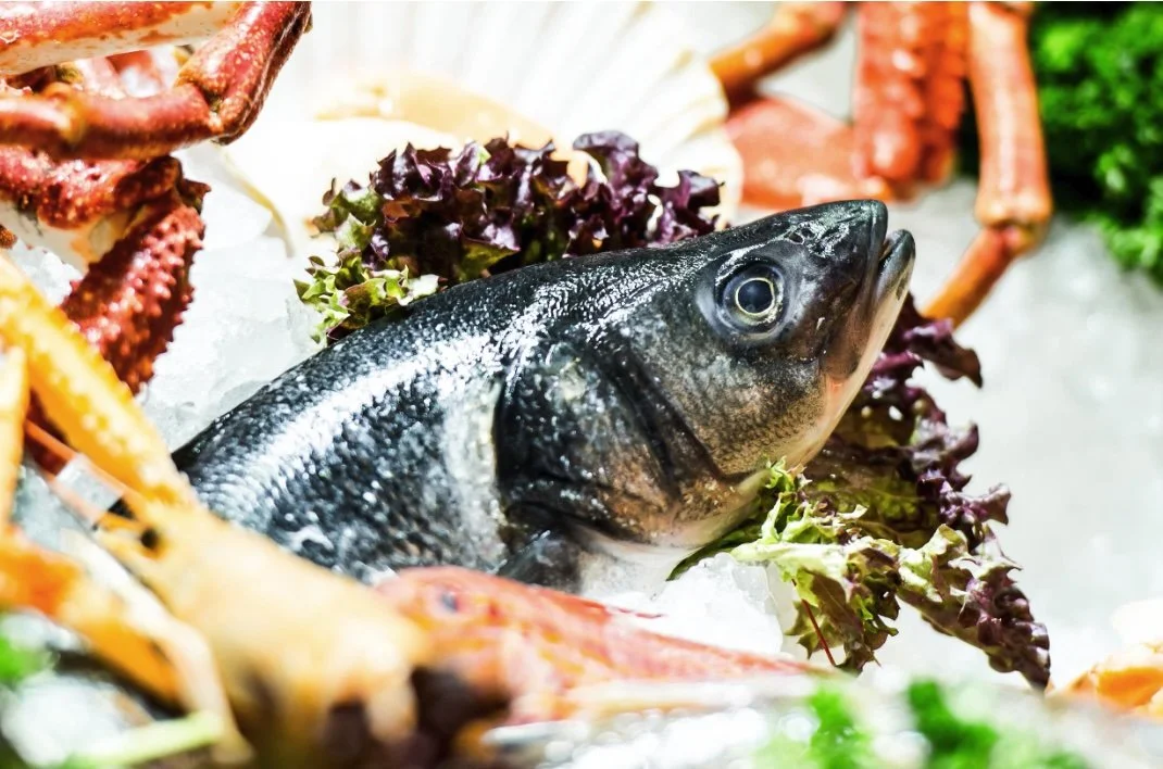 From Ocean to Plate: Blue Island’s Commitment to Quality &amp; Sustainability