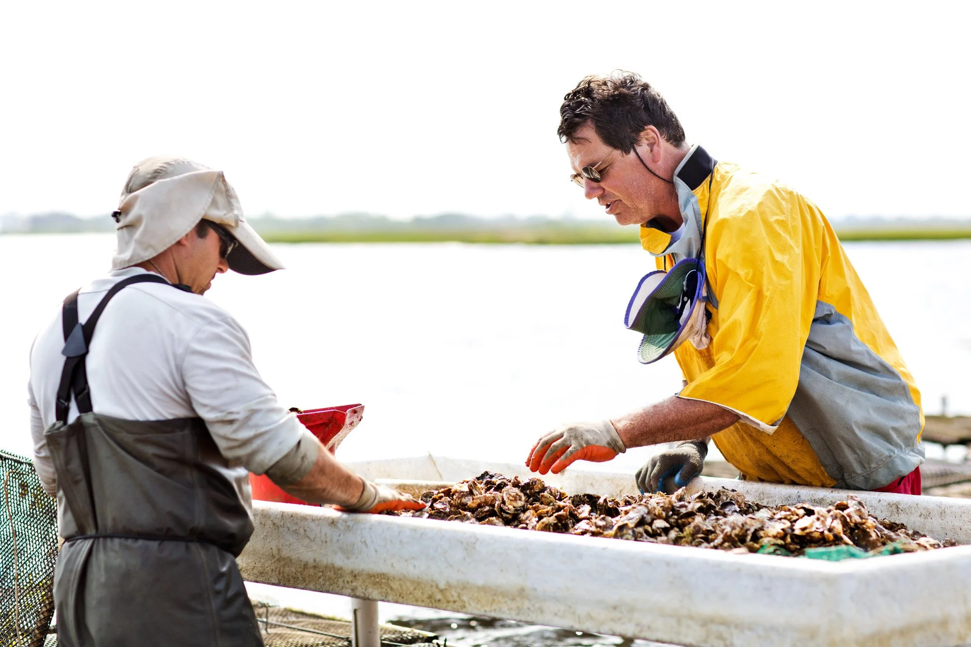 How Blue Island Oyster Bar Serves Fresh Seafood to Colorado – Even Though We’re Landlocked