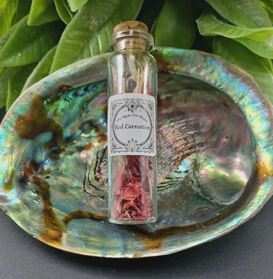Dried Red Carnation- 20ml amplify passion, deep love, strength and protection