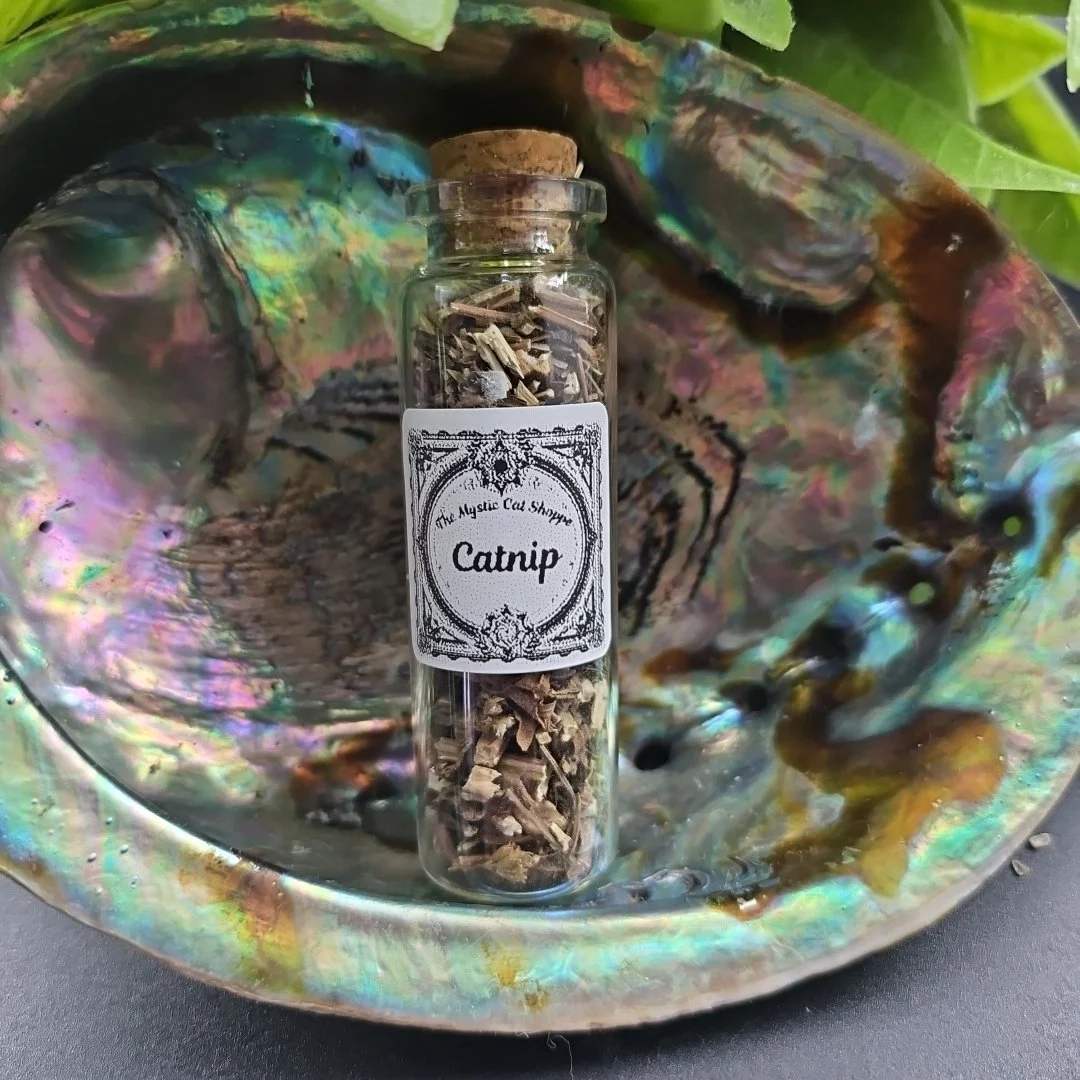 Catnip (Nepeta cataria) – 15ml-Herb for Attraction, Friendship, Love & Joy