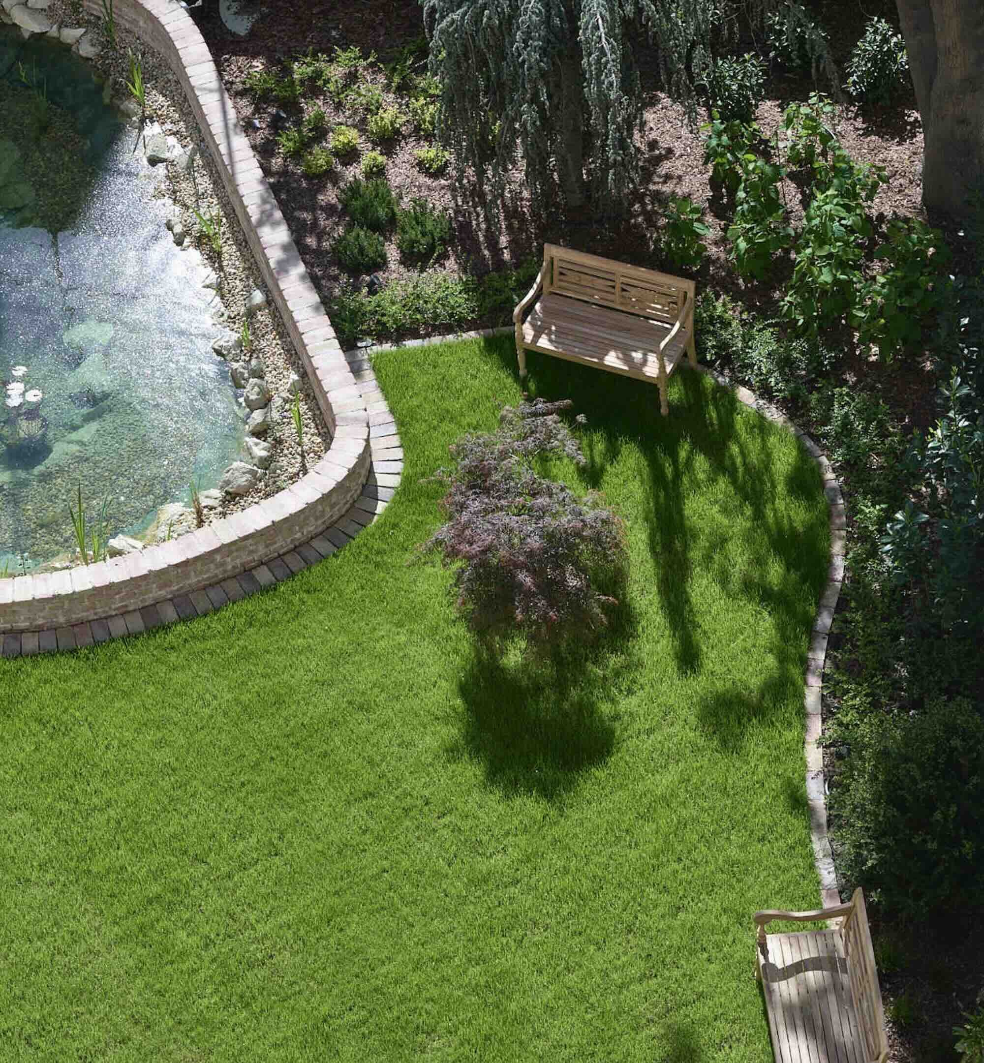 A well-maintained backyard with a small pond edged with bricks, lush green lawn, a small purple-leafed tree, and two wooden benches casting shadows on the grass.