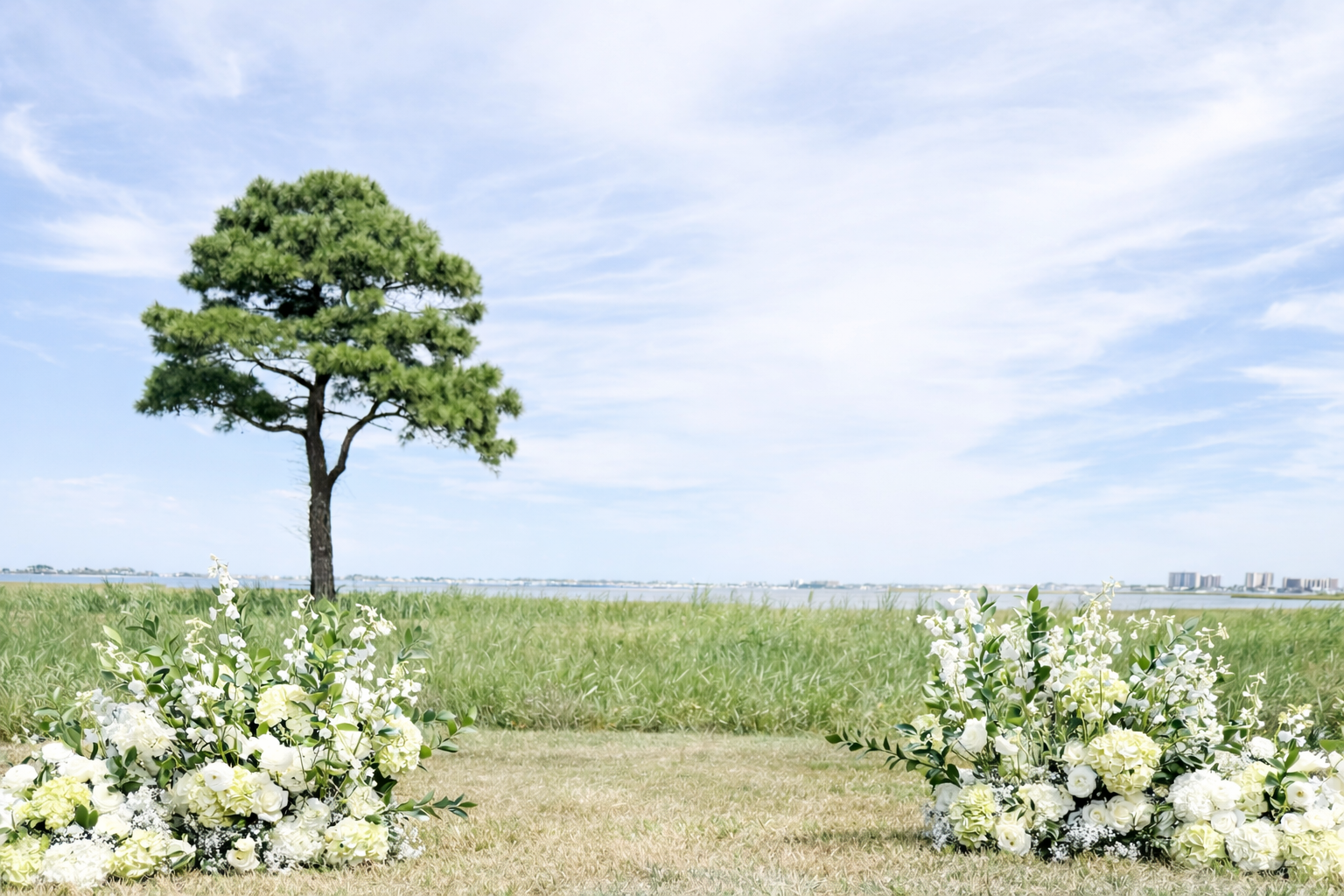 Outdoor scene with a single pine tree in a grassy field, two white floral arrangements in the foreground, blue sky with wispy clouds, distant city skyline in the background.