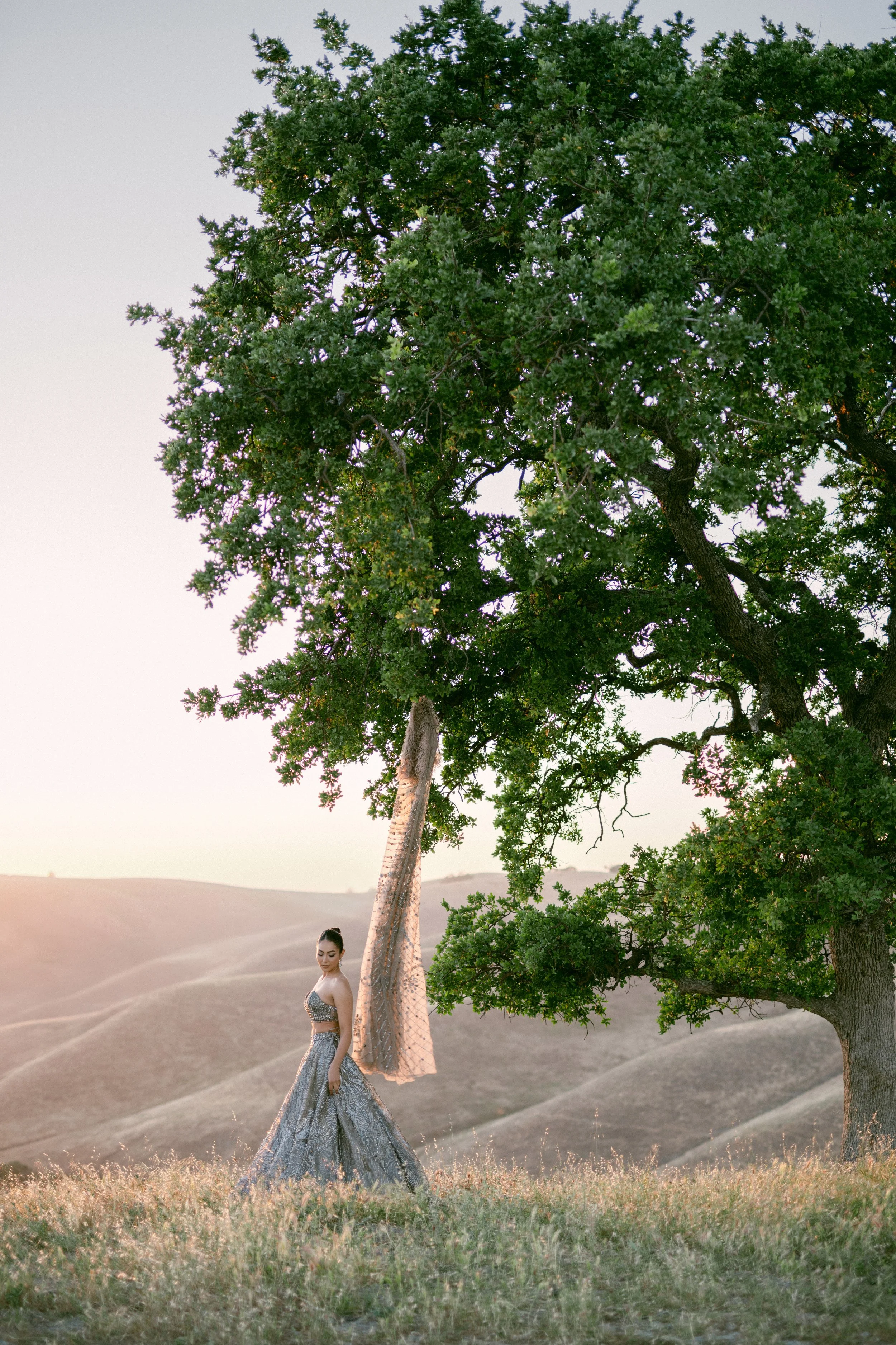 DSC01862 cleaned1.jpg