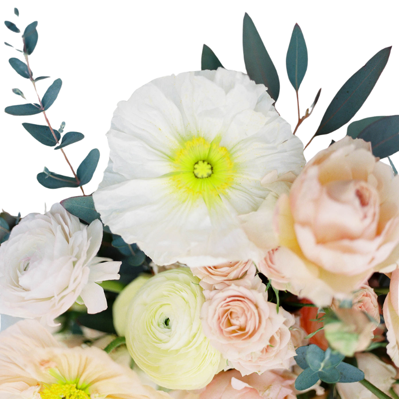 A bouquet of light-colored roses, ranunculus, and large white flower with yellow center, accented with eucalyptus leaves.