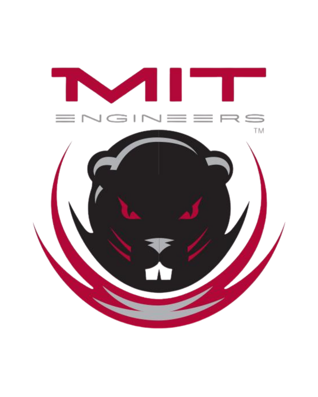 MIT2.png