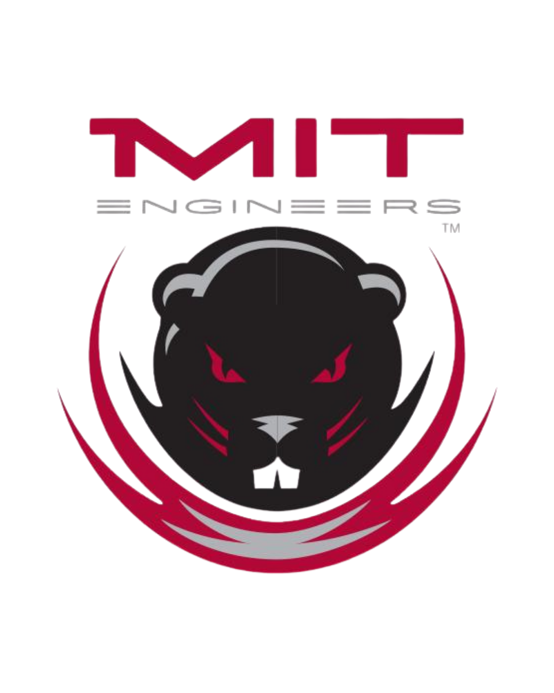 MIT2.png