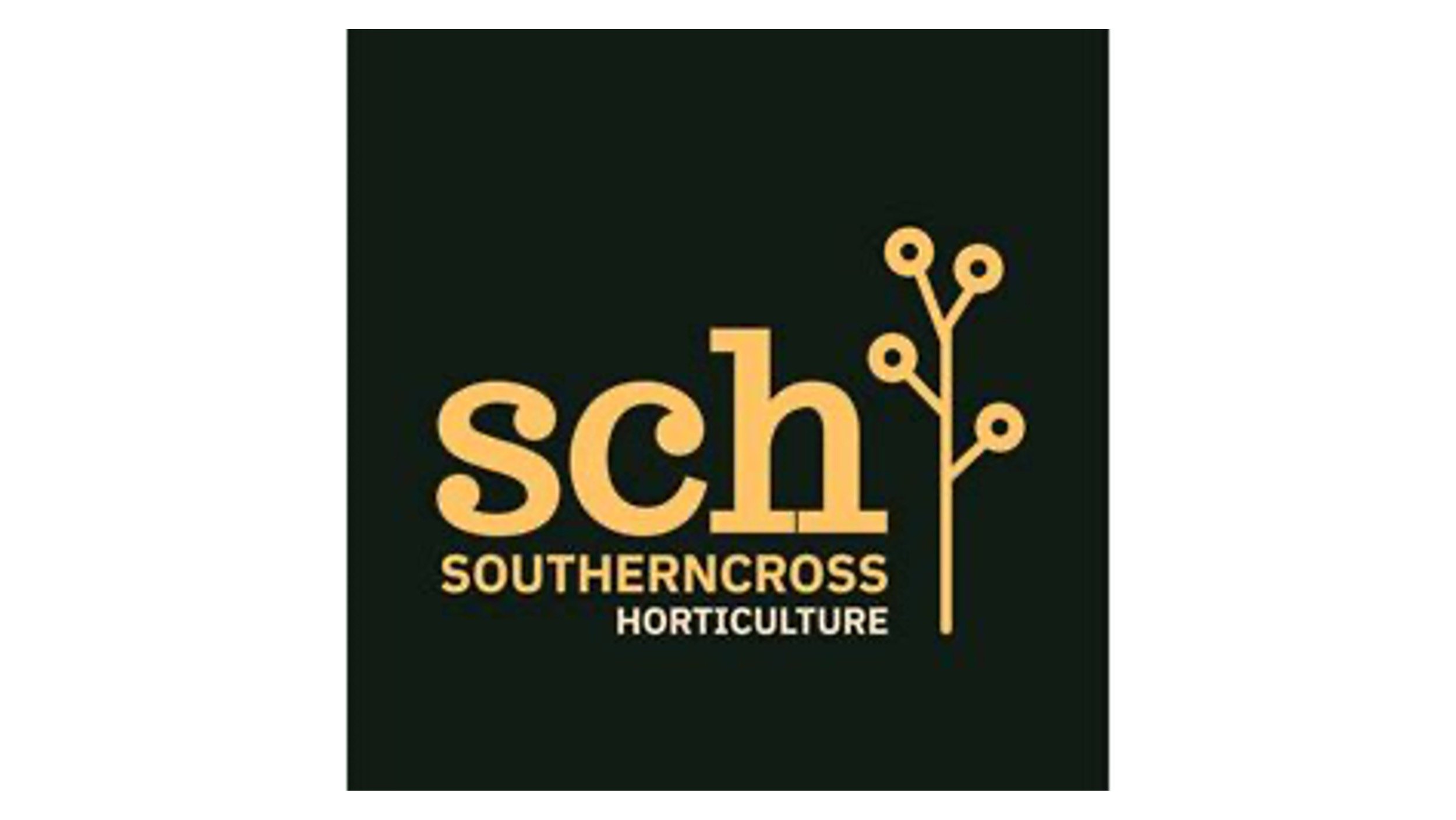 Southern Cross Horticulture – GeoVue sited 25 wells in a complex geological area, all producing reliable water for large-scale kiwifruit orchards.