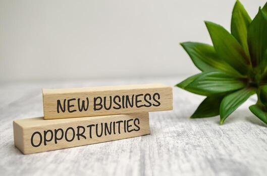 new-business-opportunities-words-on-wooden-blocks-and-white-background-photo.jpg