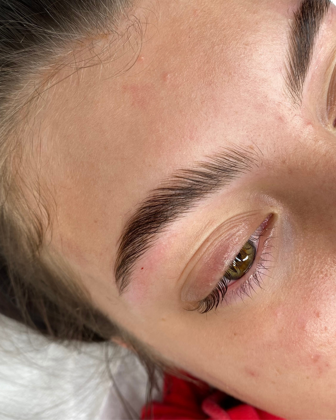 Brow Shaping and Brow Lamination service performed in Land O Lakes, Fl