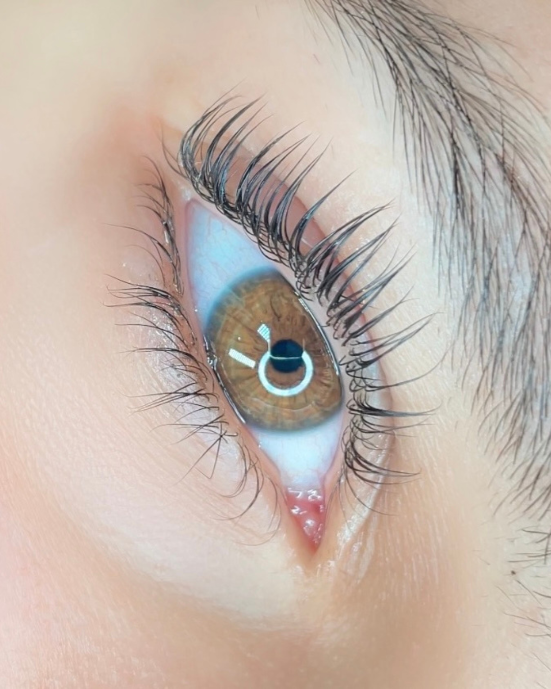 A lash lift and tint service performed in Land o Lakes, Fl