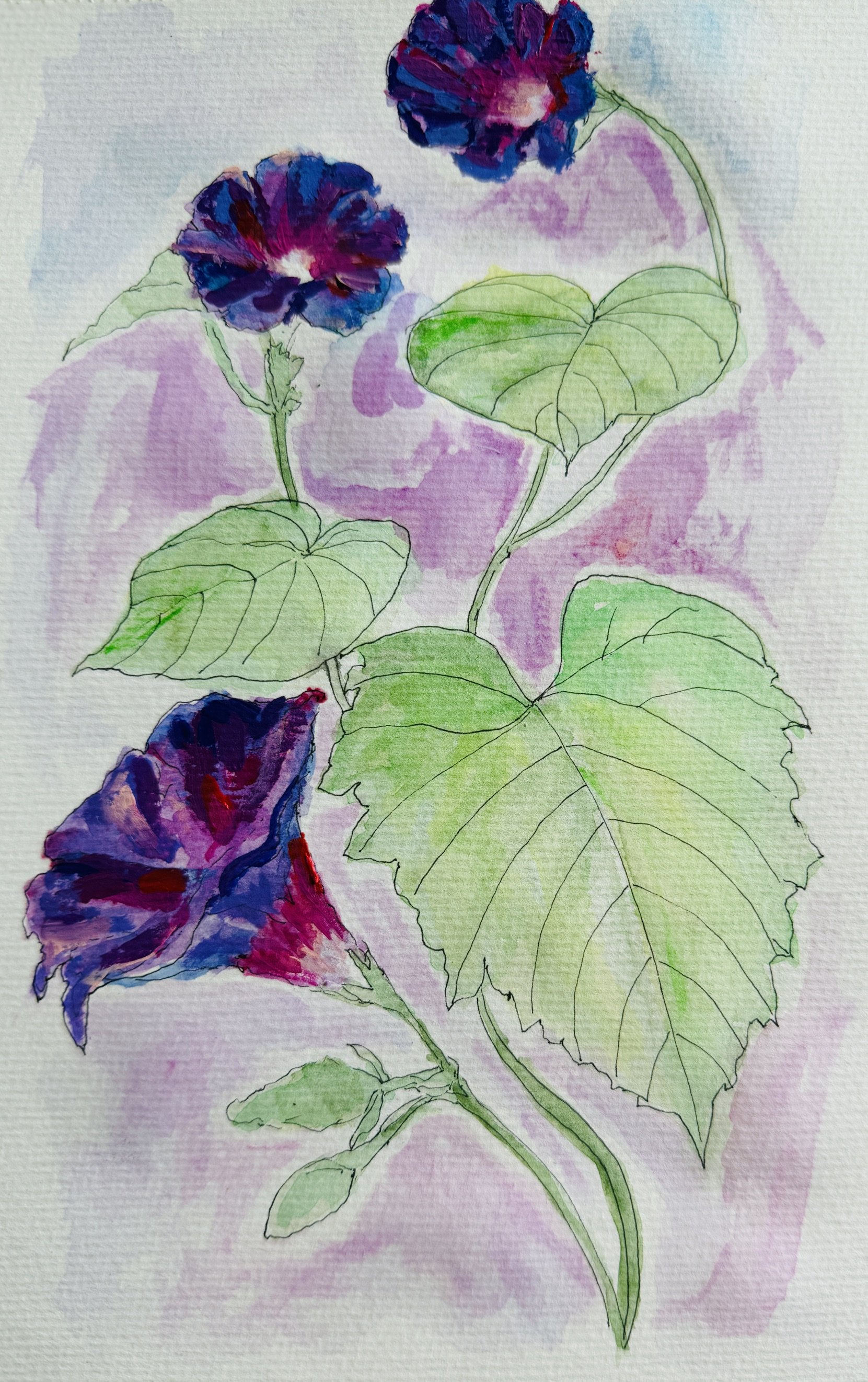 A watercolor painting of a flowering plant with large green leaves and vibrant purple, pink, and blue flowers