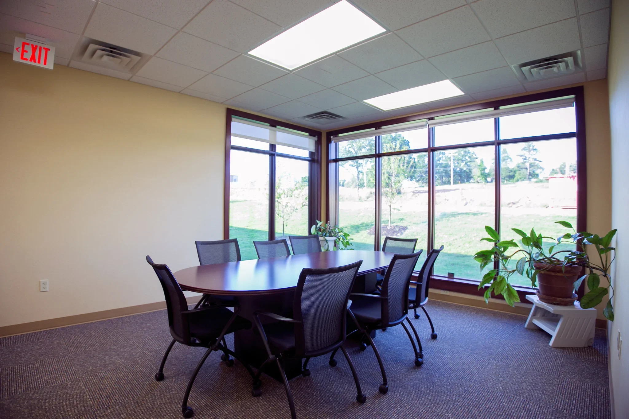Conference room with a large wooden table and eight black mesh chairs, large windows with a view of grassy outdoor area, potted plant on a white stand, beige walls, ceiling with fluorescent lights and air vents.