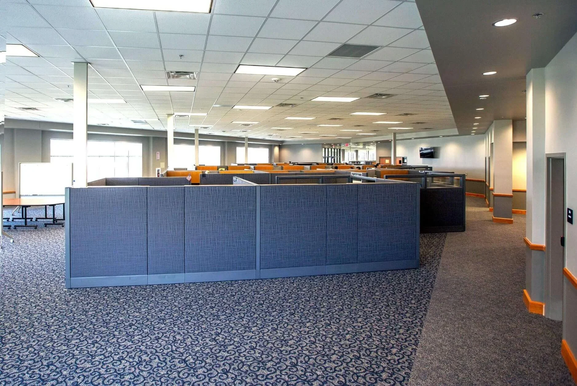 Empty office space with cubicles, carpeted floor, ceiling lights, and a wall-mounted TV.