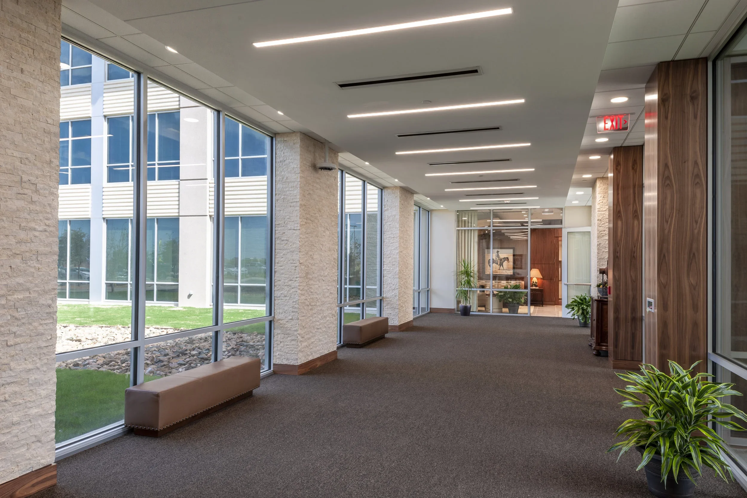 Empty hallway in modern office building with large glass windows, brown carpet, and wood-paneled walls, decorated with potted plants.