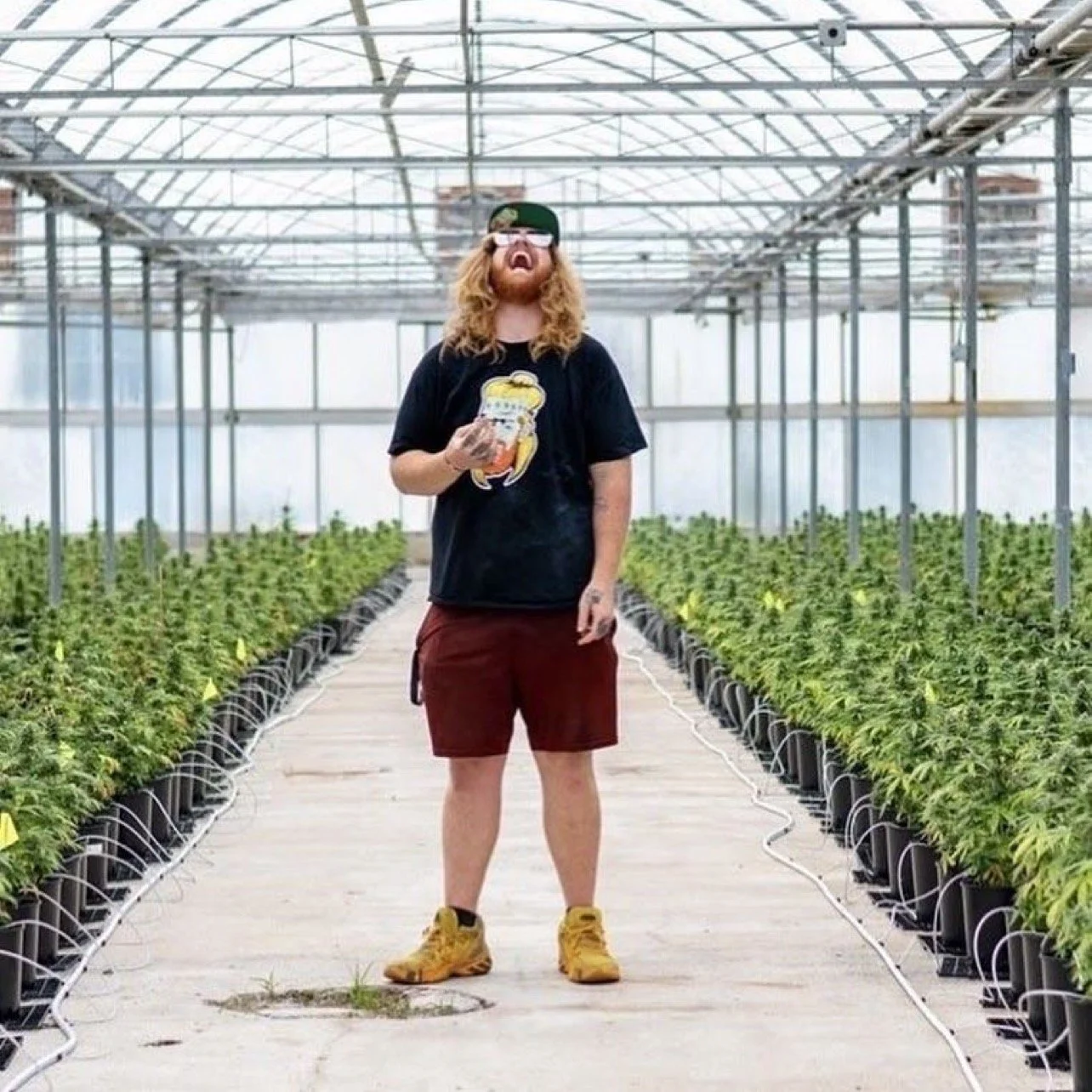 A young man with long, curly blonde hair and a beard inside a greenhouse, laughing with his head tilted back. He's wearing a black t-shirt, red shorts, yellow boots, and glasses, holding a phone in one hand. Rows of green plants in black pots line both sides of a concrete pathway.