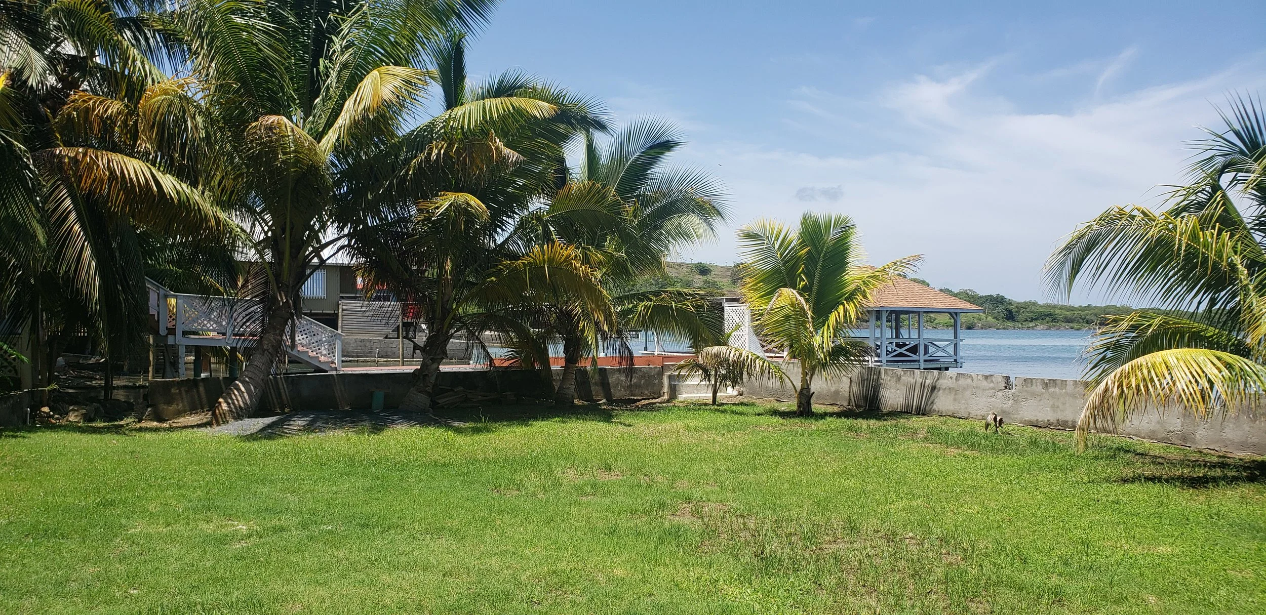 20230804_103621.jpg