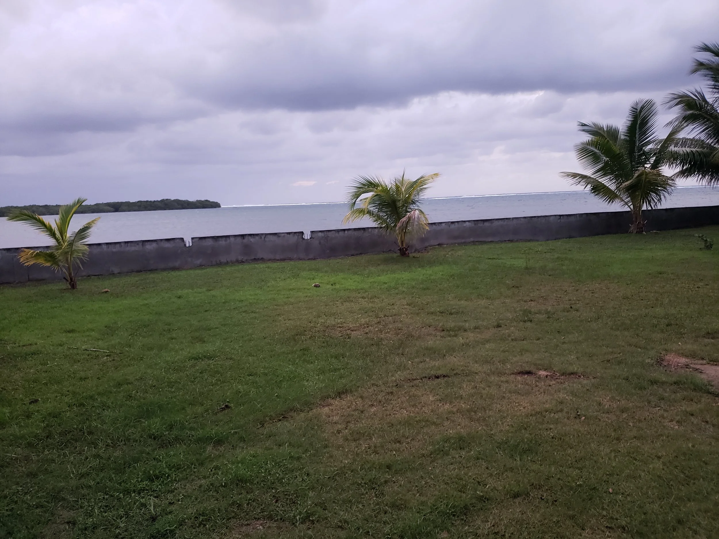 20220409_180702.jpg