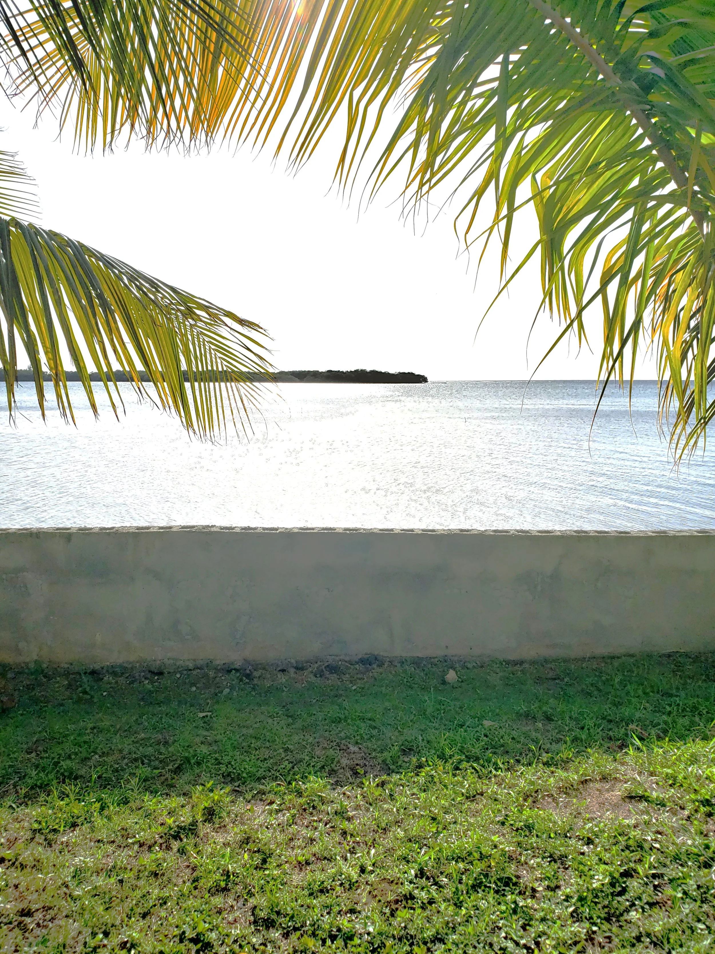 20210803_161747.jpg