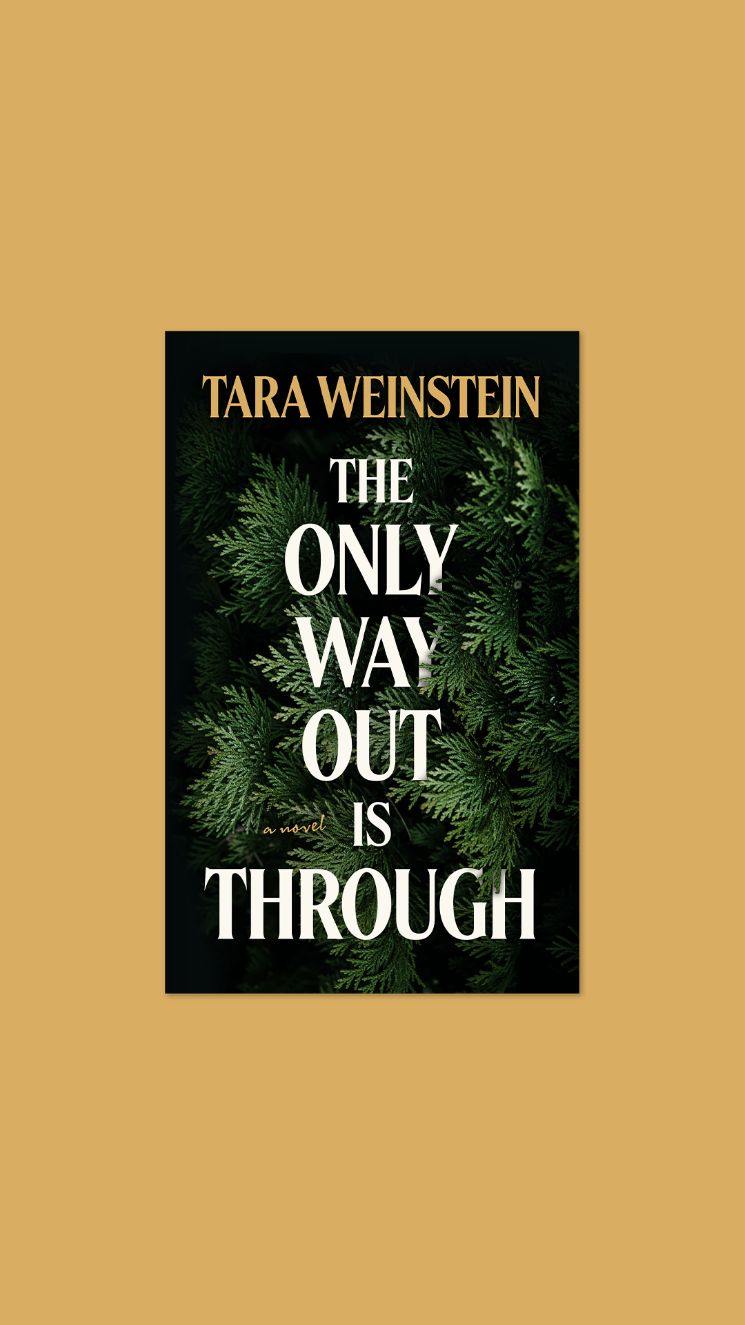 The Only Way Out is Through.png